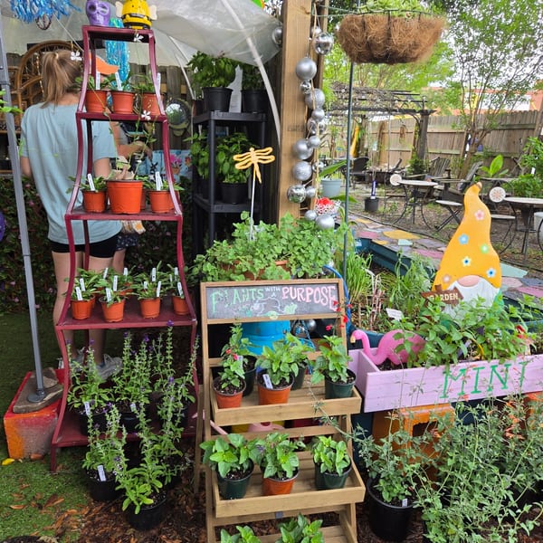 A garden stall with various potted plants, a "Plants with Purpose" sign, and a person browsing.