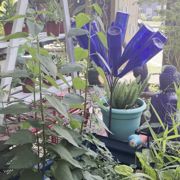 A lush garden scene with potted plants, blue bottle art, and a Buddha statue.